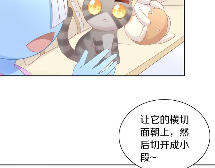 猫爪之下韩漫全集-第181回  拿破仑无删减无遮挡章节图片 