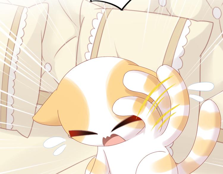 猫爪之下韩漫全集-第183话  恼人的耳螨无删减无遮挡章节图片 