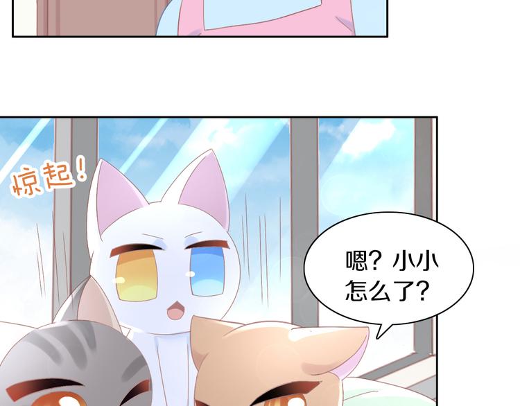 猫爪之下韩漫全集-第183话  恼人的耳螨无删减无遮挡章节图片 