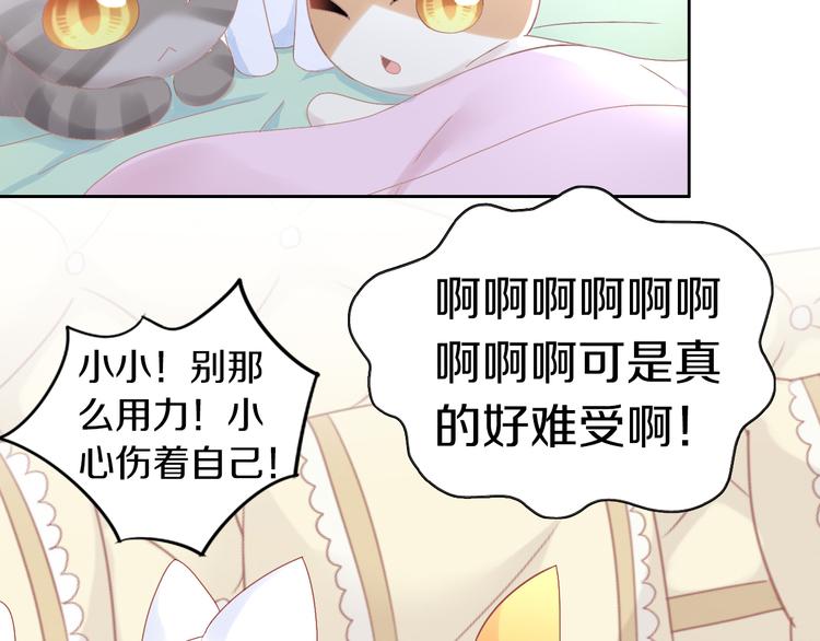 猫爪之下韩漫全集-第183话  恼人的耳螨无删减无遮挡章节图片 
