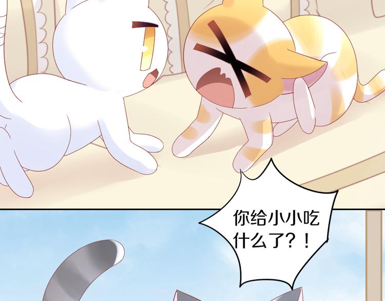 猫爪之下韩漫全集-第183话  恼人的耳螨无删减无遮挡章节图片 