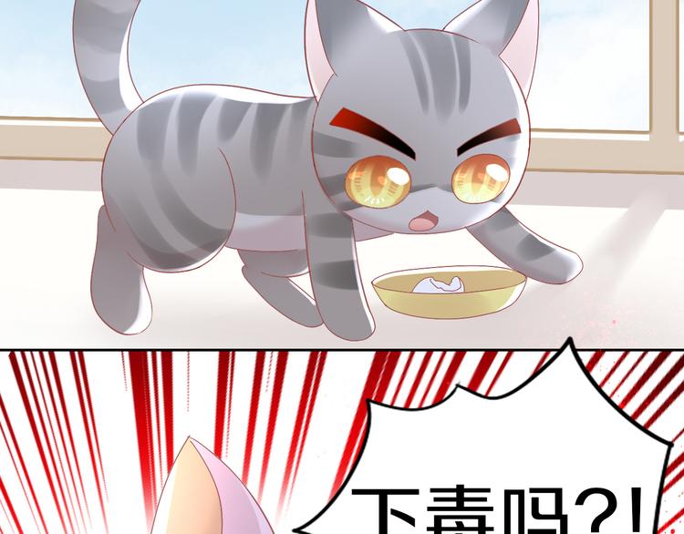 猫爪之下韩漫全集-第183话  恼人的耳螨无删减无遮挡章节图片 