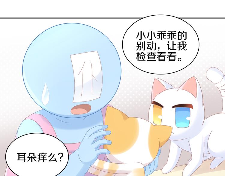 猫爪之下韩漫全集-第183话  恼人的耳螨无删减无遮挡章节图片 