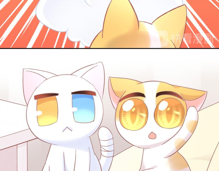 猫爪之下韩漫全集-第183话  恼人的耳螨无删减无遮挡章节图片 