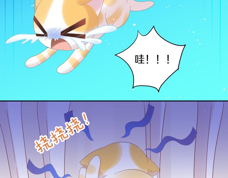 猫爪之下韩漫全集-第183话  恼人的耳螨无删减无遮挡章节图片 