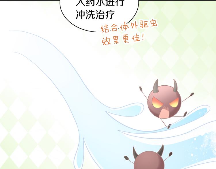 猫爪之下韩漫全集-第183话  恼人的耳螨无删减无遮挡章节图片 