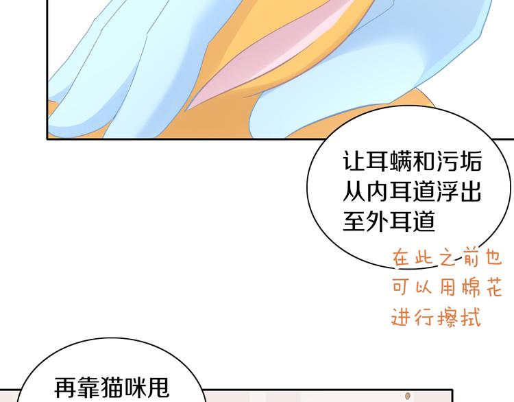 猫爪之下韩漫全集-第183话  恼人的耳螨无删减无遮挡章节图片 