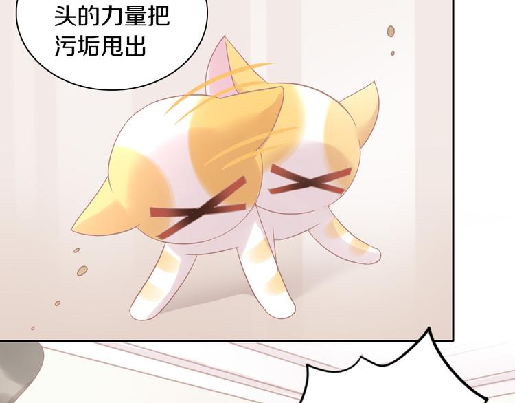 猫爪之下韩漫全集-第183话  恼人的耳螨无删减无遮挡章节图片 