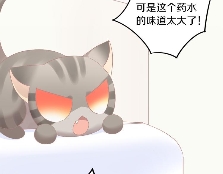 猫爪之下韩漫全集-第183话  恼人的耳螨无删减无遮挡章节图片 