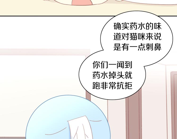 猫爪之下韩漫全集-第183话  恼人的耳螨无删减无遮挡章节图片 