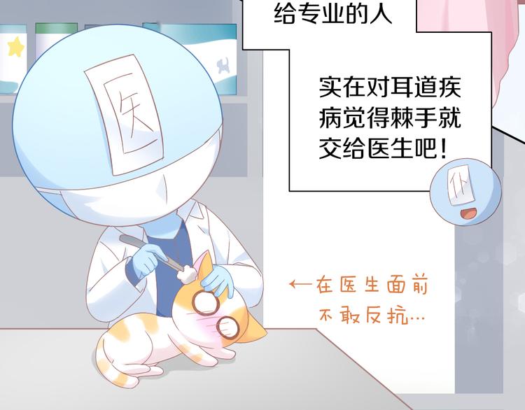 猫爪之下韩漫全集-第183话  恼人的耳螨无删减无遮挡章节图片 
