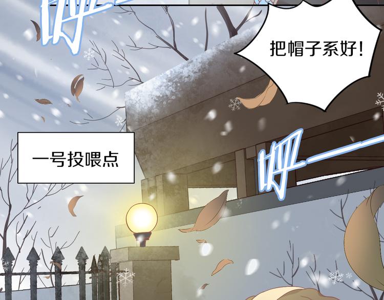 猫爪之下韩漫全集-第185话 最初的爱无删减无遮挡章节图片 