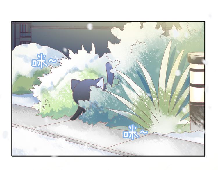 猫爪之下韩漫全集-第185话 最初的爱无删减无遮挡章节图片 
