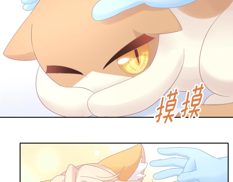 猫爪之下韩漫全集-第185话 最初的爱无删减无遮挡章节图片 