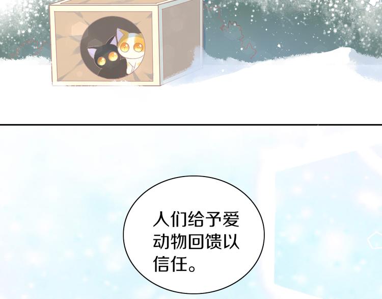 猫爪之下韩漫全集-第185话 最初的爱无删减无遮挡章节图片 