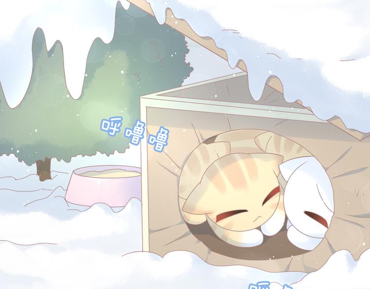 猫爪之下韩漫全集-第185话 最初的爱无删减无遮挡章节图片 