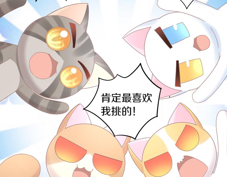 猫爪之下韩漫全集-第186话 新围裙无删减无遮挡章节图片 
