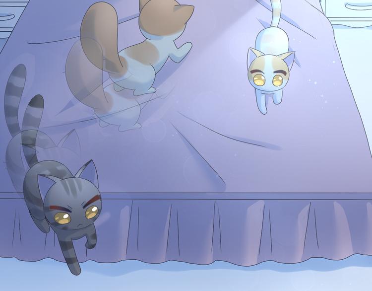 猫爪之下韩漫全集-第187话 暖暖的窝无删减无遮挡章节图片 
