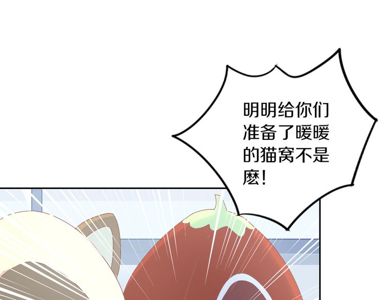 猫爪之下韩漫全集-第187话 暖暖的窝无删减无遮挡章节图片 