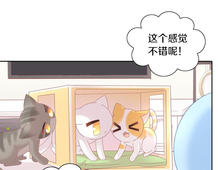 猫爪之下韩漫全集-第187话 暖暖的窝无删减无遮挡章节图片 