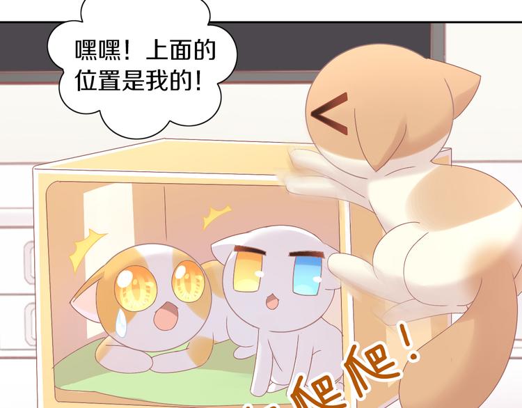 猫爪之下韩漫全集-第187话 暖暖的窝无删减无遮挡章节图片 