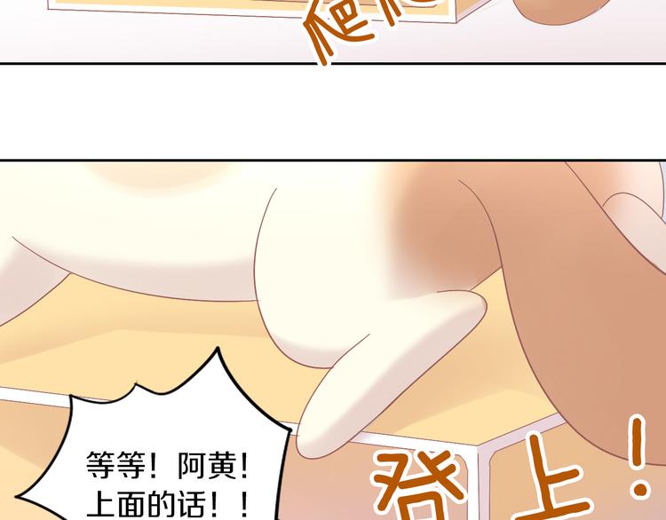 猫爪之下韩漫全集-第187话 暖暖的窝无删减无遮挡章节图片 