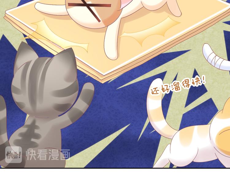 猫爪之下韩漫全集-第187话 暖暖的窝无删减无遮挡章节图片 