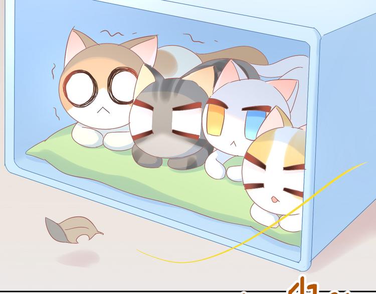 猫爪之下韩漫全集-第187话 暖暖的窝无删减无遮挡章节图片 