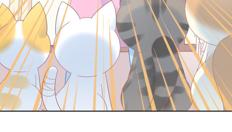 猫爪之下韩漫全集-第187话 暖暖的窝无删减无遮挡章节图片 