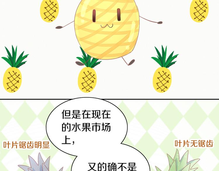猫爪之下韩漫全集-第188话 凤梨？菠萝？无删减无遮挡章节图片 