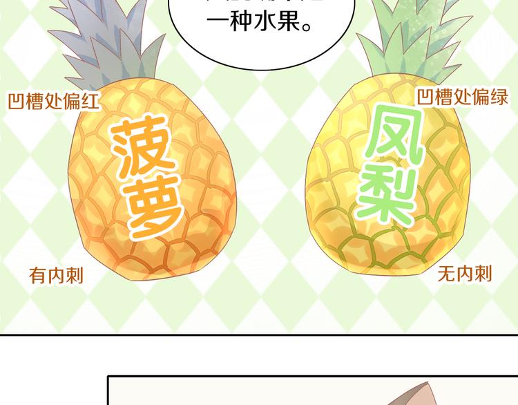猫爪之下韩漫全集-第188话 凤梨？菠萝？无删减无遮挡章节图片 