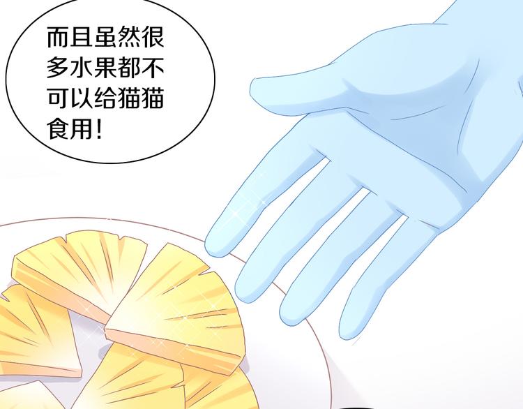 猫爪之下韩漫全集-第188话 凤梨？菠萝？无删减无遮挡章节图片 