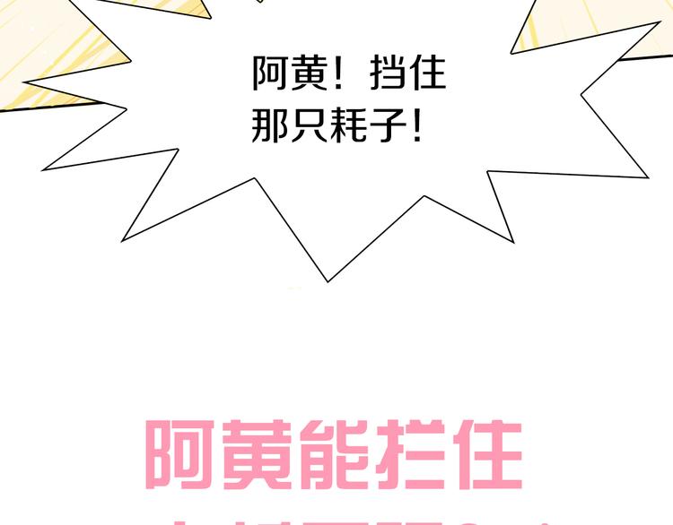 猫爪之下韩漫全集-第188话 凤梨？菠萝？无删减无遮挡章节图片 