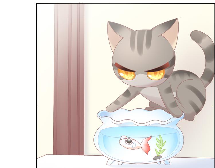 猫爪之下韩漫全集-第188话 凤梨？菠萝？无删减无遮挡章节图片 