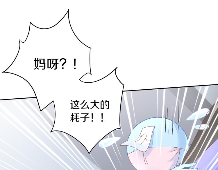 猫爪之下韩漫全集-第189话 杂物堆里的它无删减无遮挡章节图片 