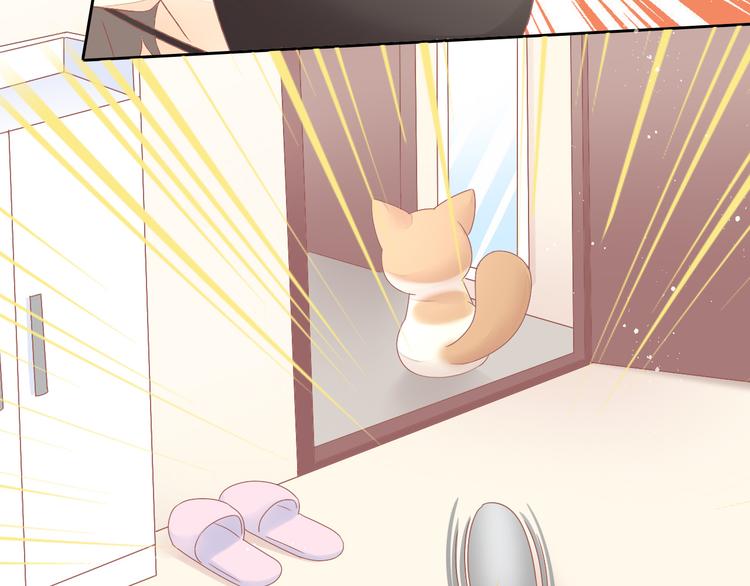 猫爪之下韩漫全集-第189话 杂物堆里的它无删减无遮挡章节图片 