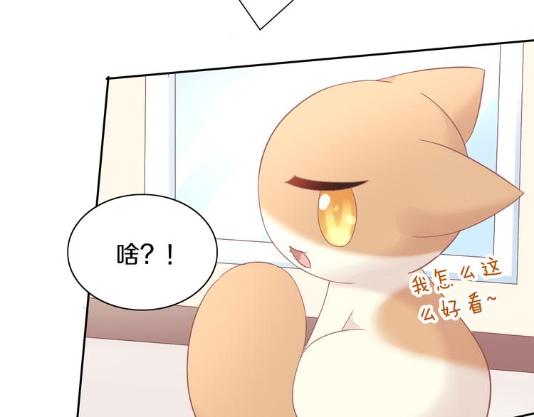 猫爪之下韩漫全集-第189话 杂物堆里的它无删减无遮挡章节图片 