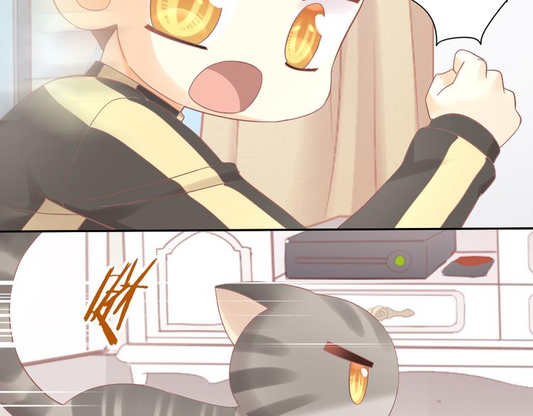 猫爪之下韩漫全集-第189话 杂物堆里的它无删减无遮挡章节图片 