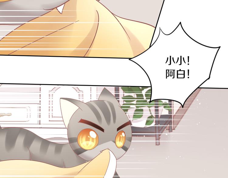 猫爪之下韩漫全集-第189话 杂物堆里的它无删减无遮挡章节图片 