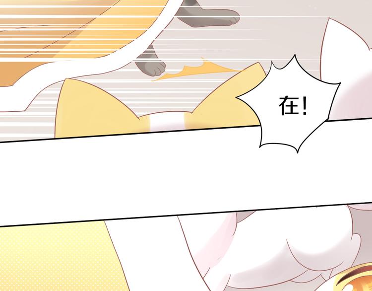 猫爪之下韩漫全集-第189话 杂物堆里的它无删减无遮挡章节图片 
