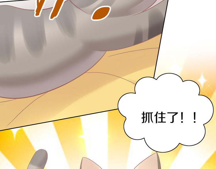 猫爪之下韩漫全集-第189话 杂物堆里的它无删减无遮挡章节图片 