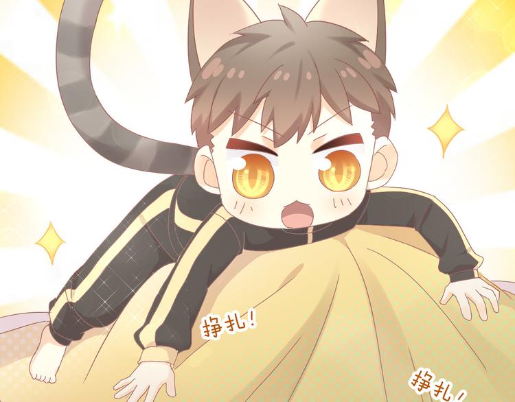 猫爪之下韩漫全集-第189话 杂物堆里的它无删减无遮挡章节图片 