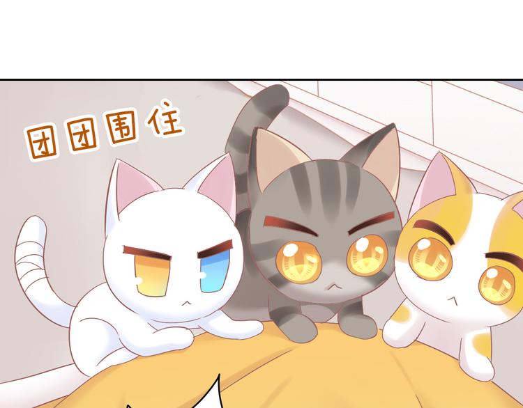 猫爪之下韩漫全集-第189话 杂物堆里的它无删减无遮挡章节图片 