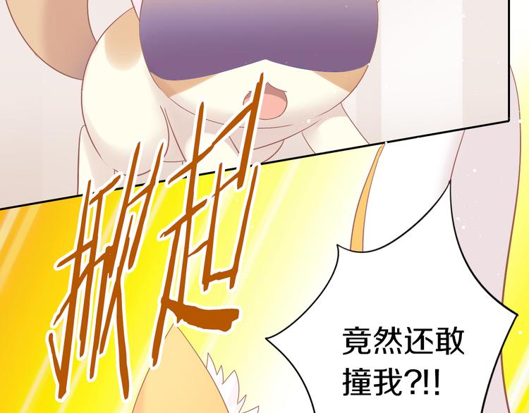猫爪之下韩漫全集-第189话 杂物堆里的它无删减无遮挡章节图片 