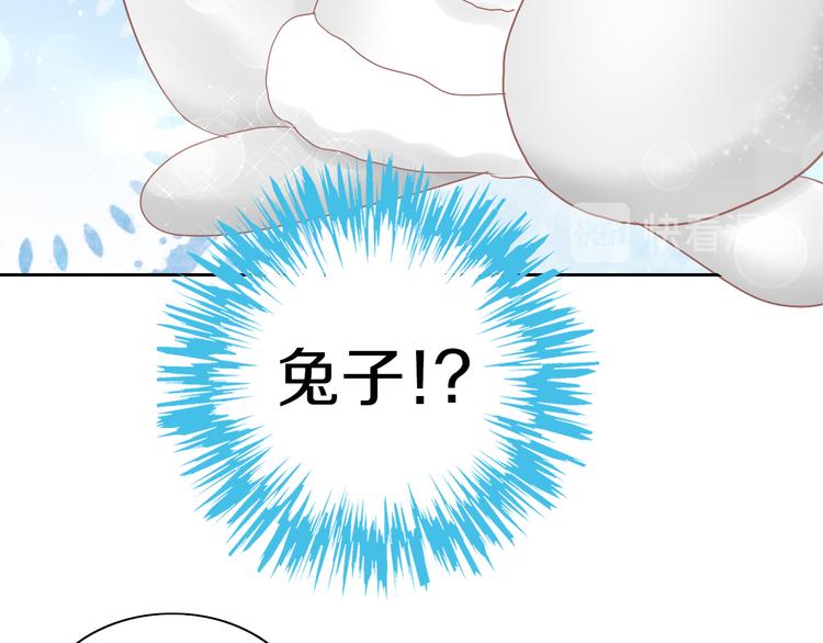 猫爪之下韩漫全集-第189话 杂物堆里的它无删减无遮挡章节图片 