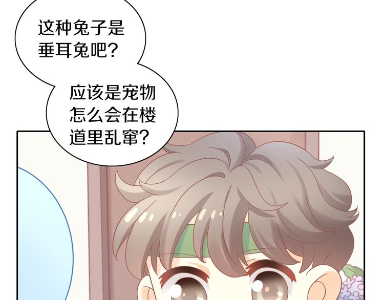 猫爪之下韩漫全集-第189话 杂物堆里的它无删减无遮挡章节图片 