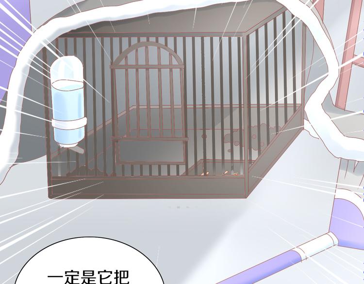 猫爪之下韩漫全集-第189话 杂物堆里的它无删减无遮挡章节图片 