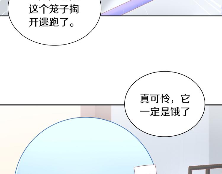 猫爪之下韩漫全集-第189话 杂物堆里的它无删减无遮挡章节图片 
