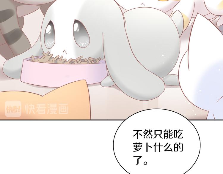 猫爪之下韩漫全集-第189话 杂物堆里的它无删减无遮挡章节图片 