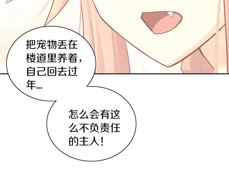 猫爪之下韩漫全集-第189话 杂物堆里的它无删减无遮挡章节图片 